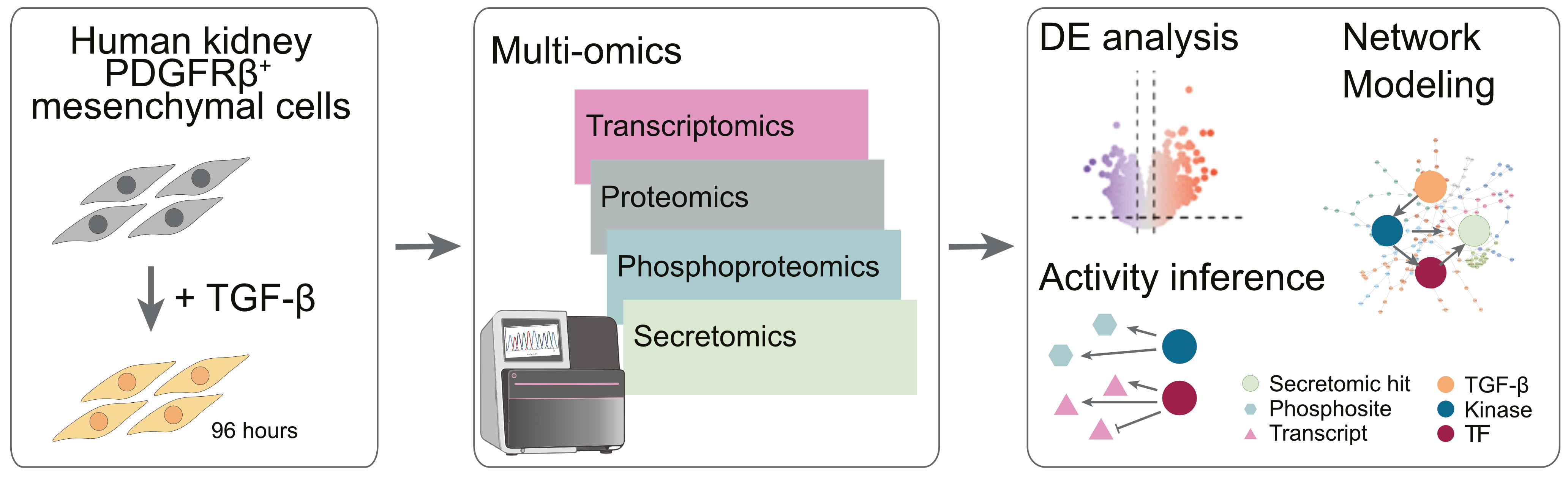 Graphical abstract